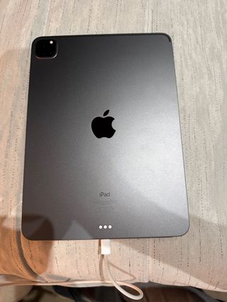 iPad Pro 11 2ª Gen 2020 Gris