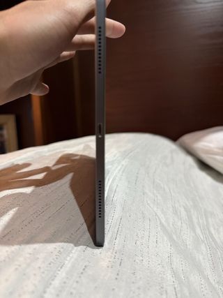 iPad Pro 11 2ª Gen 2020 Gris