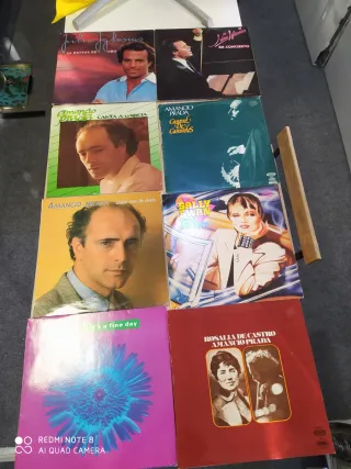 discos vinilo de diferentes cantantes.