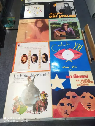 discos vinilo de diferentes cantantes.