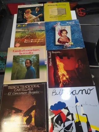 discos vinilo de diferentes cantantes.