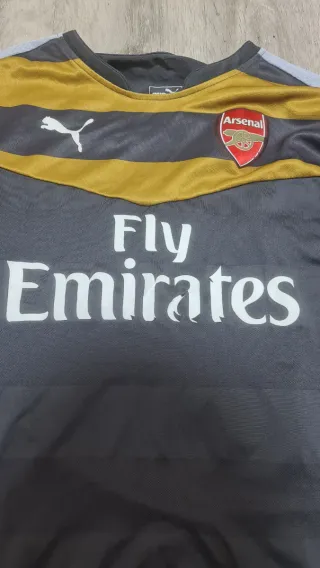 Camiseta Portero Arsenal WFC 2016 Puma