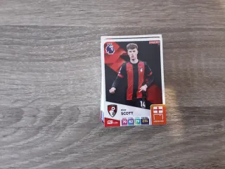 Panini Premier League Adrenalyn XL 2025