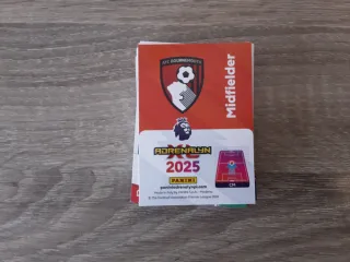Panini Premier League Adrenalyn XL 2025