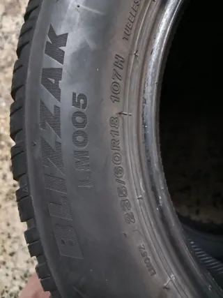 Neumáticos de invierno Bridgestone