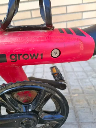 Bicicleta Orbea Grow 1 con ruedines para poner.
