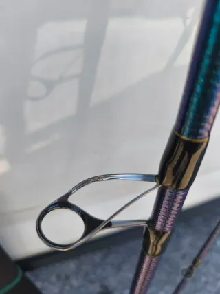 Surfcasting Tournament Masters II