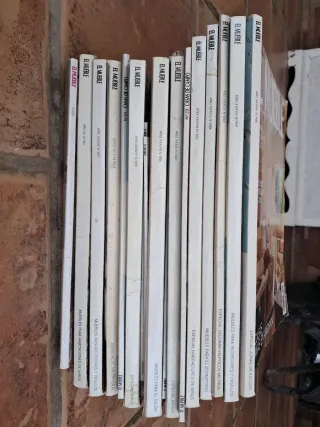 Lote 20 revistas El Mueble