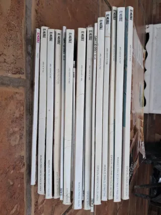 Lote 20 revistas El Mueble