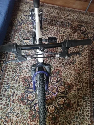 Bicicleta 24 pulgadas