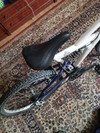 Bicicleta 24 pulgadas