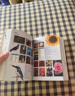 Diccionario Oxford Pocket para estudiantes de i...