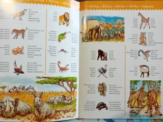 Puzzle Djeco 100 piezas Observación