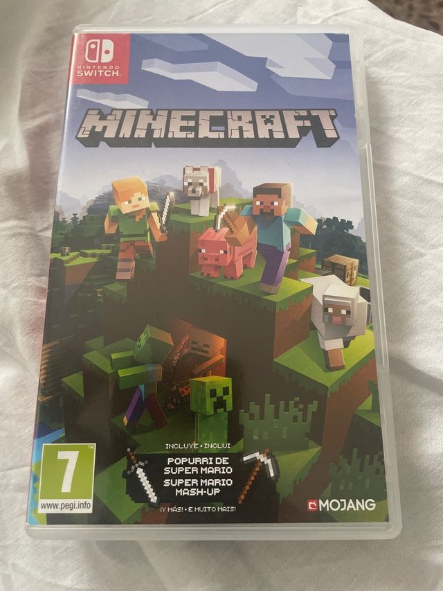 Minecraft Nintendo Switch