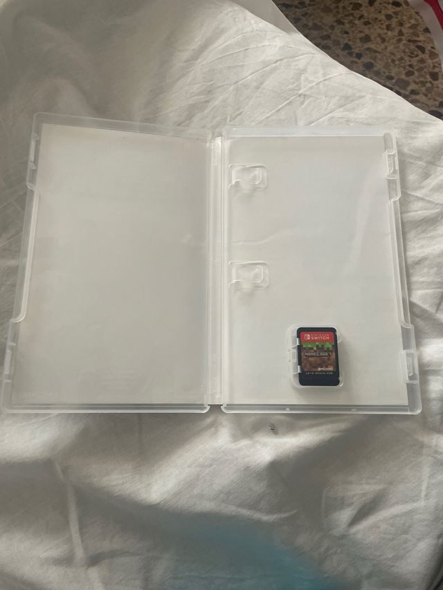 Minecraft Nintendo Switch