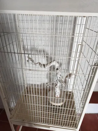 Jaula grande pájaros 1.50m alto aprox ver recogida