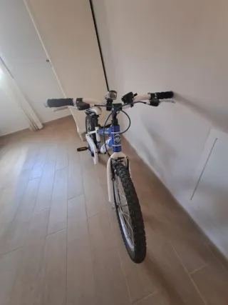 Bicicleta 20 pulgadas