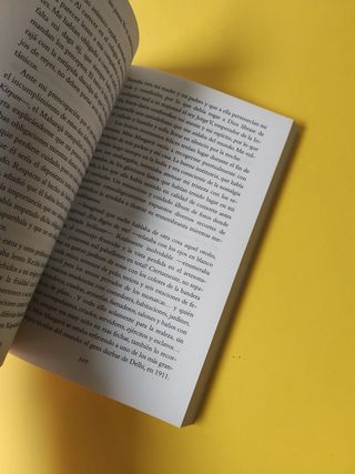 El sueño de la Maharaní Elisa Vázquez de Gey