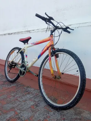 Bicicleta