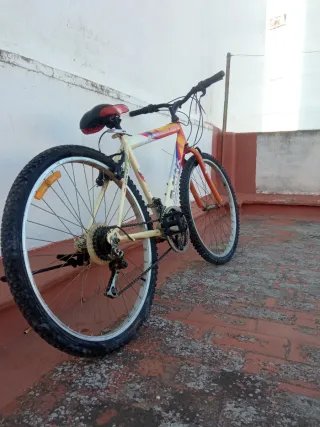 Bicicleta