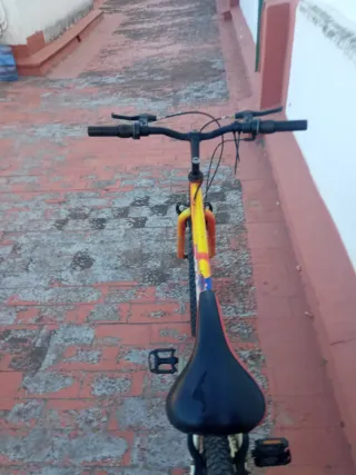 Bicicleta