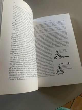 Costruire l'uomo. Il testamento spirituale di M...