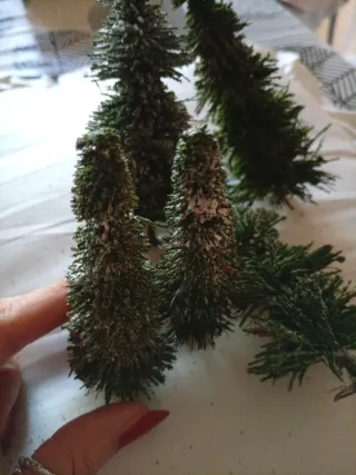 Set 5 alberi abete per presepe