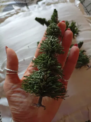 Set 5 alberi abete per presepe