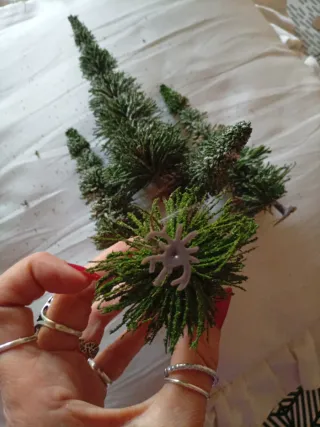 Set 5 alberi abete per presepe