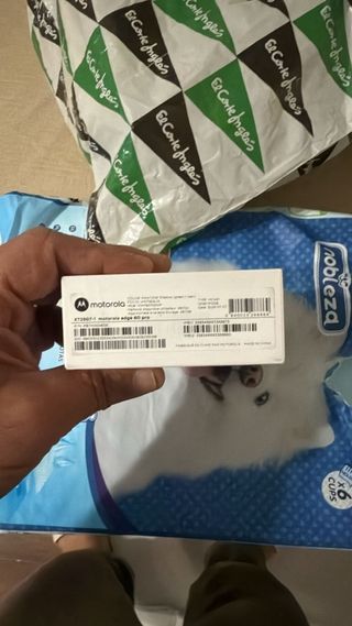 Motorola Edge 60 Pro