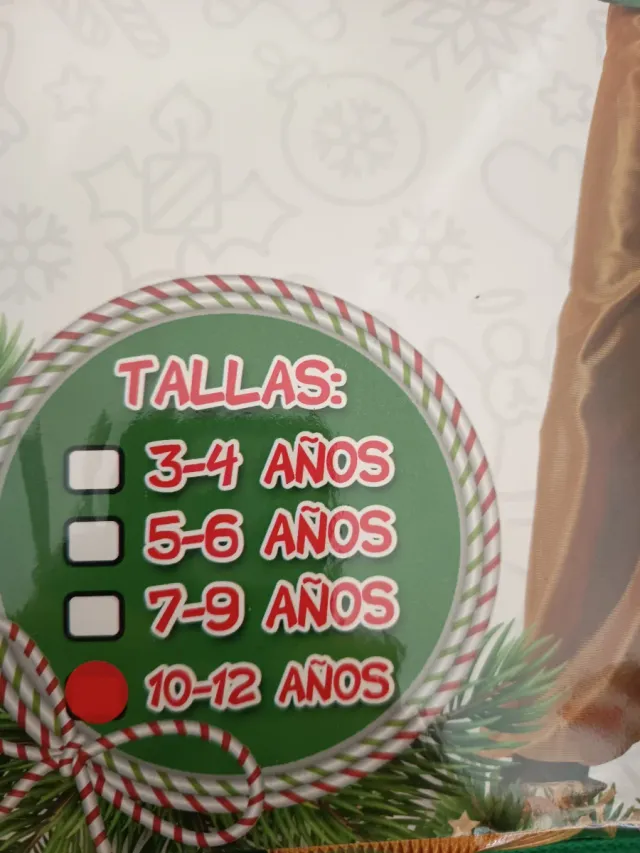 Disfraz Paje Reyes Magos Verde Talla 10-12