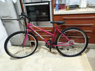 Bicicleta Montaña 26