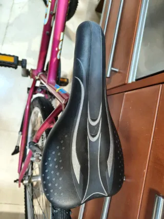 Bicicleta Montaña 26