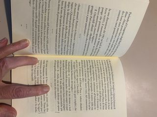 Il sorriso del bulldog. Maliziose arguzie di Wi...