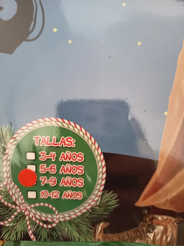 Disfraz Paje Reyes Magos Verde Talla 7-9 Años