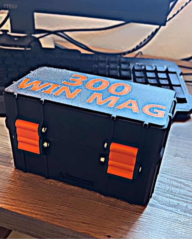 Caixa de Munição 300 Win Mag