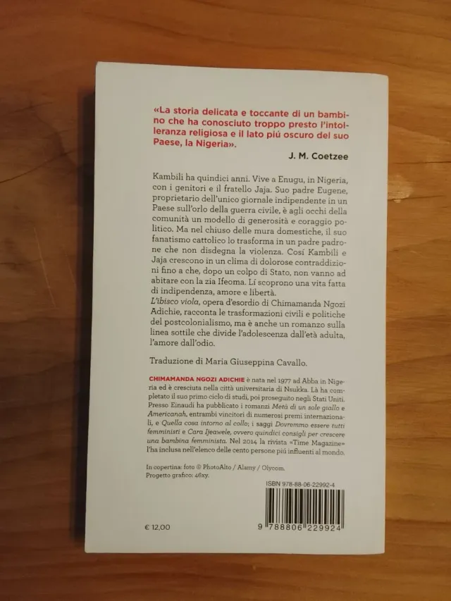 Chimamanda Ngozi Adichie, L'ibisco Viola #africa