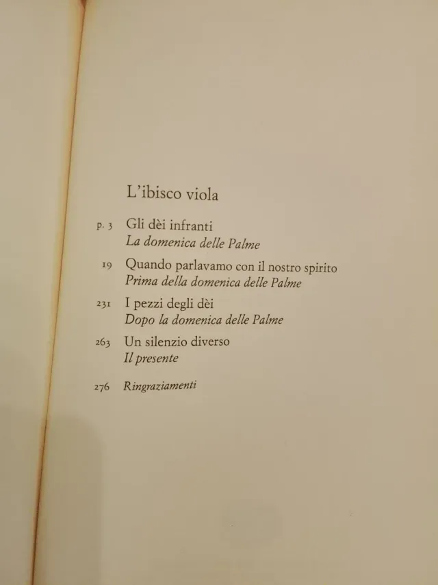 Chimamanda Ngozi Adichie, L'ibisco Viola #africa