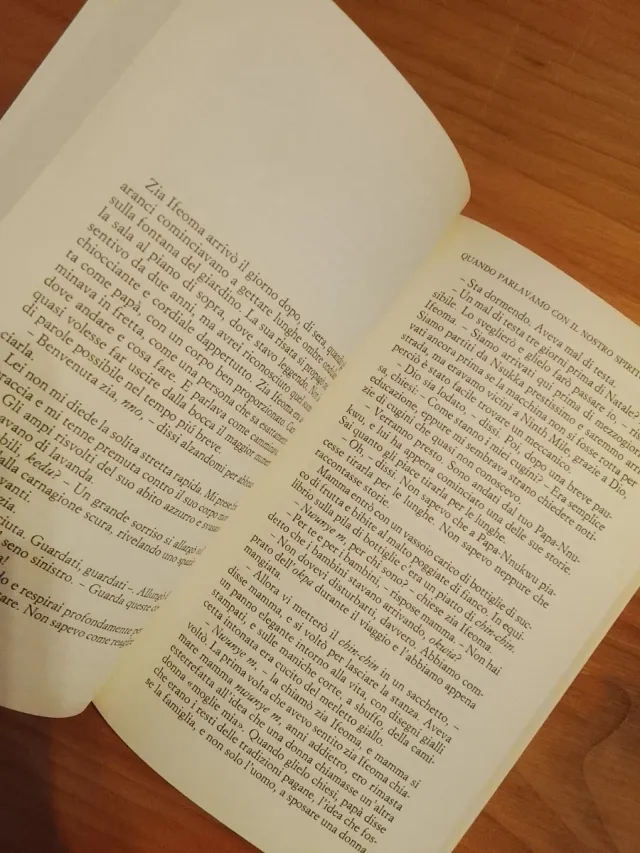 Chimamanda Ngozi Adichie, L'ibisco Viola #africa