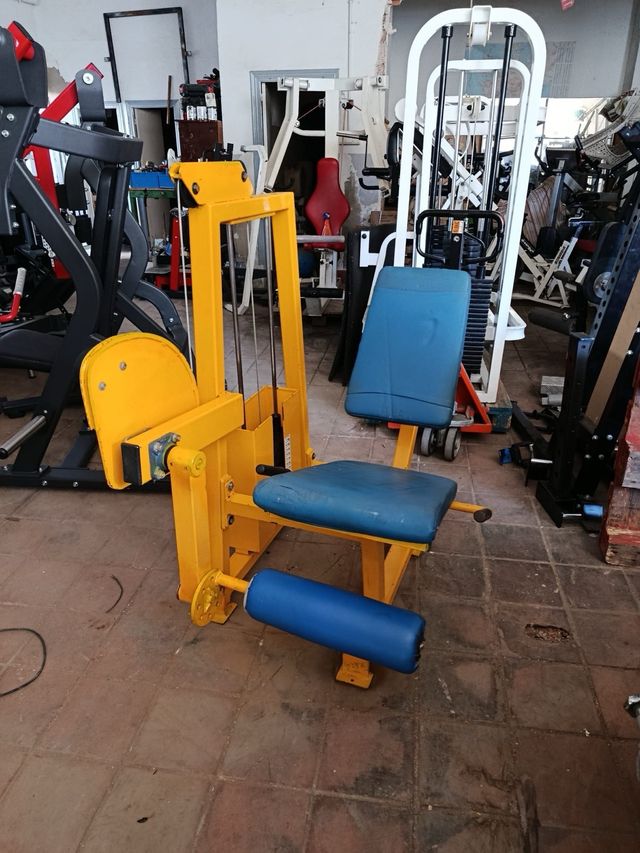 Estensione quadricipiti Adan Sport