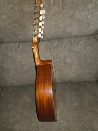 Bandurria