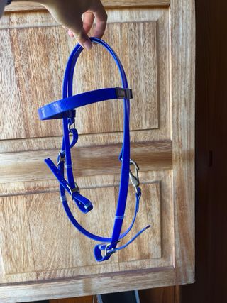 Equipo de raid azul eléctrico