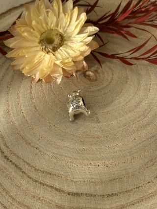 Charm Tiger Winnie de Pooh