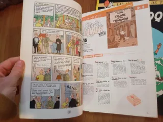 Lote tintin en ingles