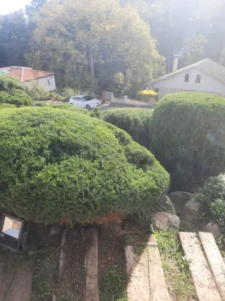 Servicios de jardinería profesional