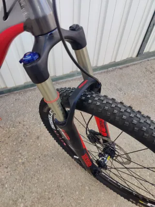 Bicicleta Canyon Nerve AL