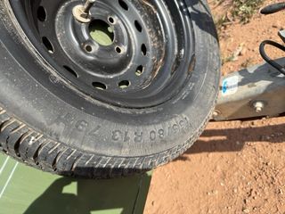 Remolque perros caza