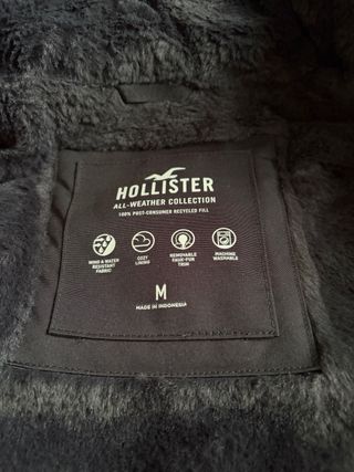 Abrigo Hollister