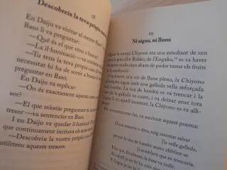 SOLO ENVÍOS Libro 101 històries zen