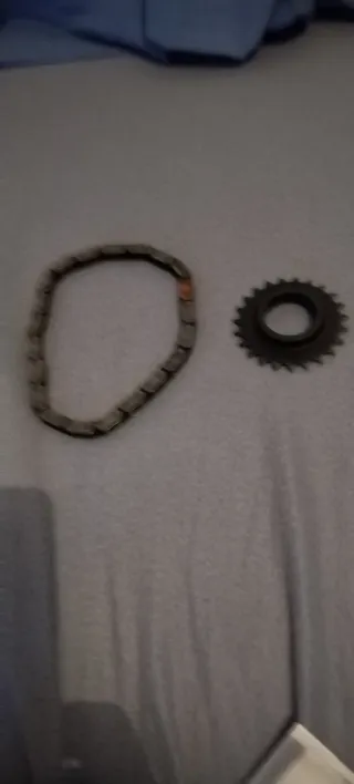 Cadena y piñón bomba aceite Renault